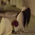 木杰 封面