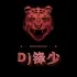 廉江DJ锋少-全粤语柔歌音乐Beyond1991生命接触演唱会现场串烧 封面