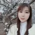 中山DJ荣少-国粤语柔歌精选许丽静片片相思赋予谁环绕磁性连版CD车载 封面