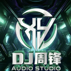 Dj周锋-全粤语柔歌音乐挑选娴姐歌曲专辑车载慢歌连版串烧 封面