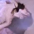 Mirah - Gotta Go Home(Dj泽泽 FunkyHouse Rmx 2026 空灵鼓) 封面