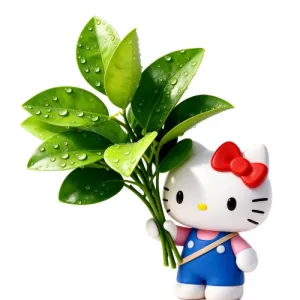 李林夕 封面